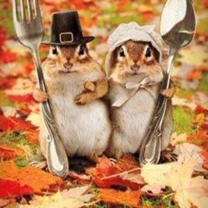 Meet your Posher, Pat